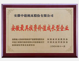 安徽省最具投资代价生长型企业