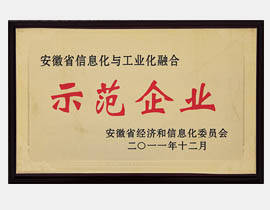 安徽省两化融会树模企业